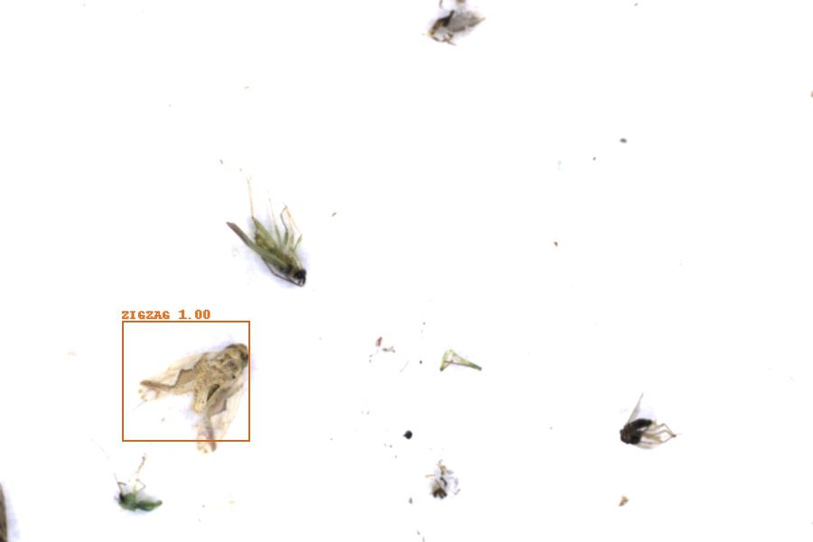 Image 12